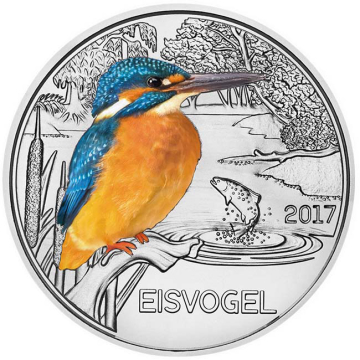 The Kingfisher