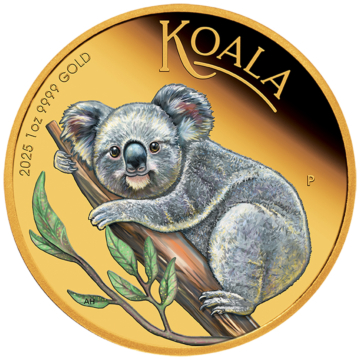 Koala