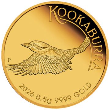 Kookaburra
