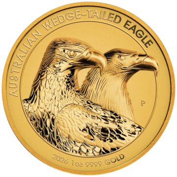 Australian Wedge-Tailed Eagle