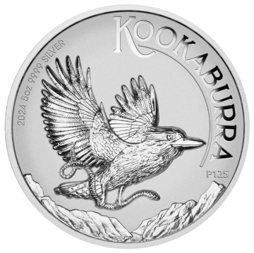 Kookaburra