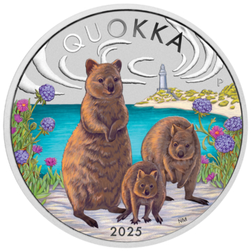 Australian Quokka