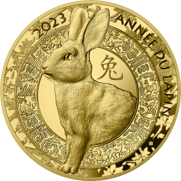 Lunar Rabbit