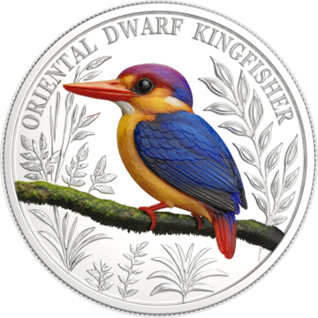 Oriental Dwarf Kingfischer