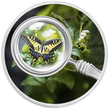 Papilio Machaon