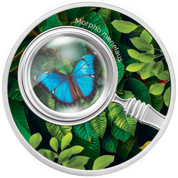 Morpho Menelaus