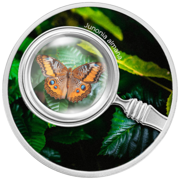 Junonia Almana