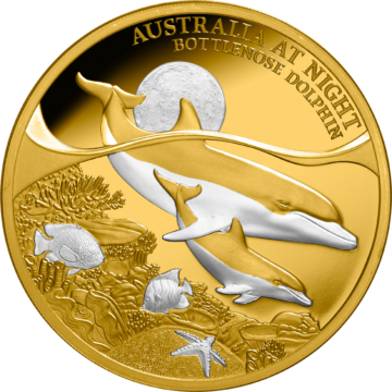 Bottlenose Dolphin