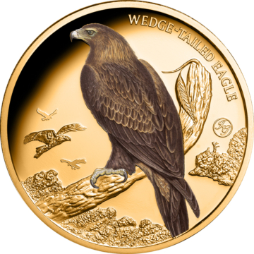 Wedge-Tailed Eagle