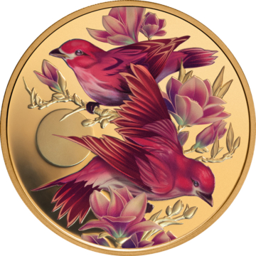 Purple Finch & Magnolias