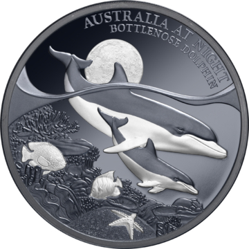 Bottlenose Dolphin