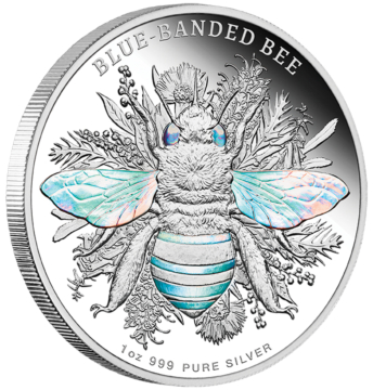 Blue-Banded Bee
