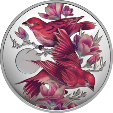 Purple Finch & Magnolias