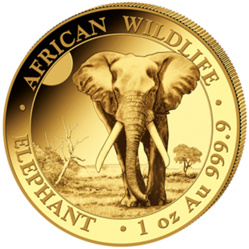 Elephant