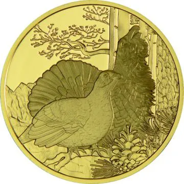 The Capercaillie Cock