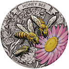 Honey Bee