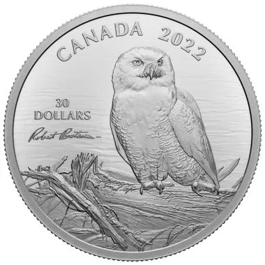 Snowy Owl on Driftwood 2 Ounce Silver