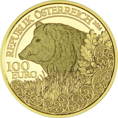 The Boar
