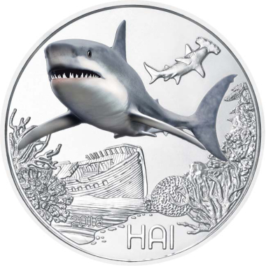 The Shark