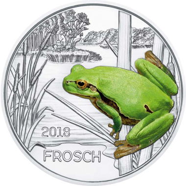 The Frog