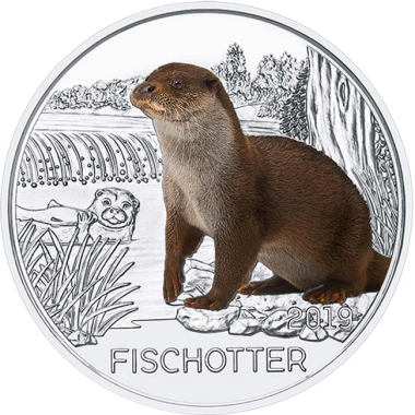 Der Fischotter