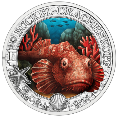 Devil Scorpionfish