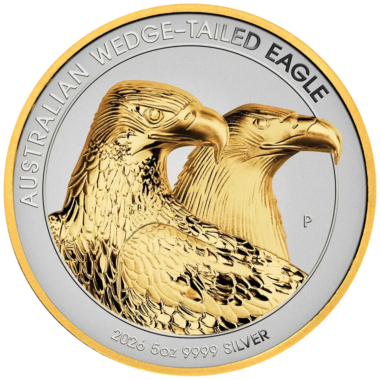 Australian Wedge-Tailed Eagle