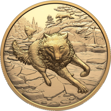Grey Wolf