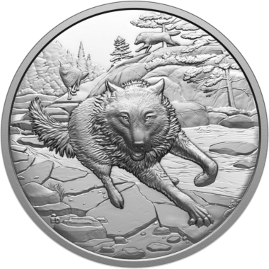 Grey Wolf