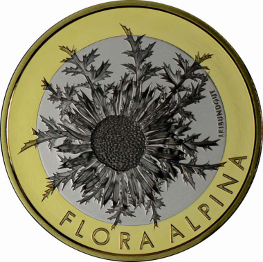 Flora Alpina - Carline thistle