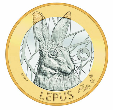 Forest Animals - Rabbit
