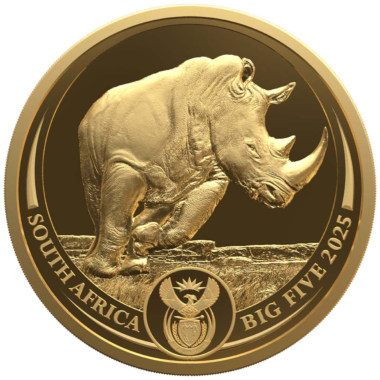 Big Five III - Rhino