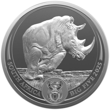 Big Five III - Rhino
