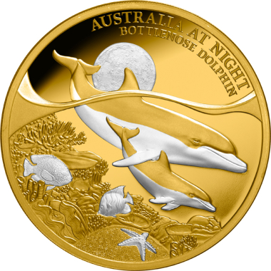 Bottlenose Dolphin
