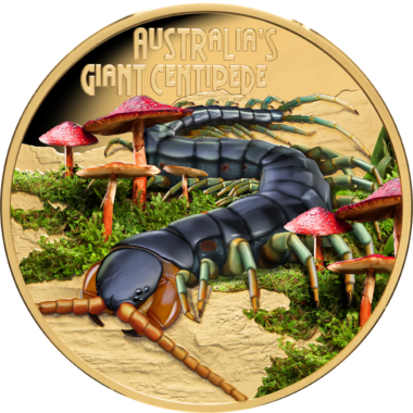 Giant Centipede