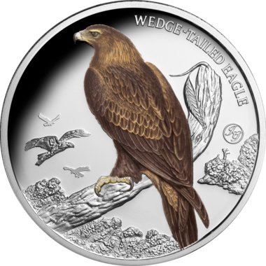 Wedge-Tailed Eagle
