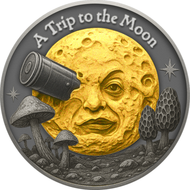 A Trip to the Moon