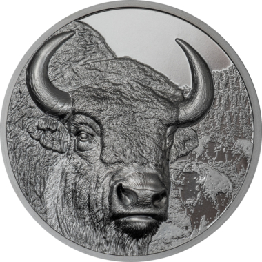 Bison