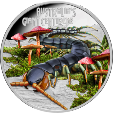 Giant Centipede